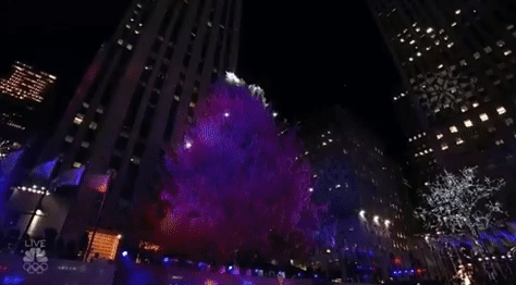 Christmas Tree GIF by NBC