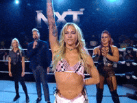 Wwe Spin GIF