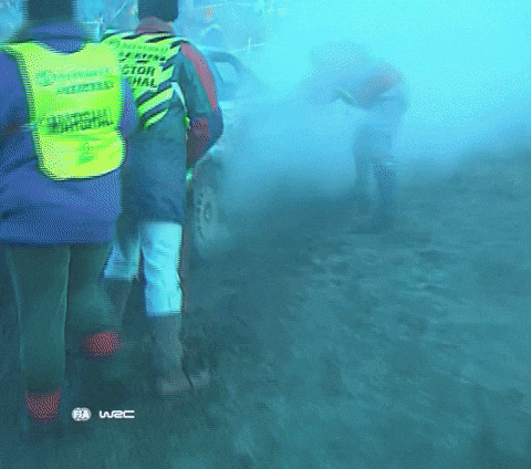 Motorsport Toyota GIF by FIA World Rally Championship