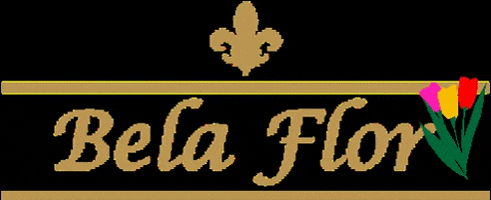 belaflor giphygifmaker giphyattribution flowers flores GIF