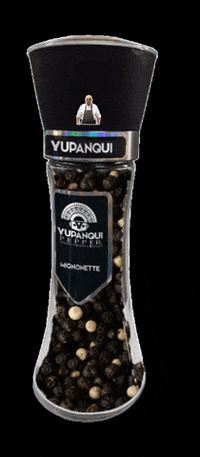 yupanquipepper yupanquipepper GIF