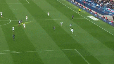 petrfrmel giphyupload GIF