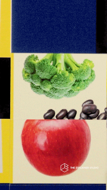 GIF by The Explainer Studio