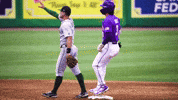 Baton Rouge Celebration GIF by LSU Tigers