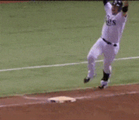 Tampa Bay Rays GIF by MLB