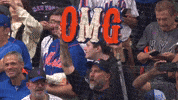 New York Mets Omg GIF by MLB