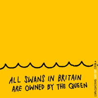 queen lol GIF by Learn Something Every Day