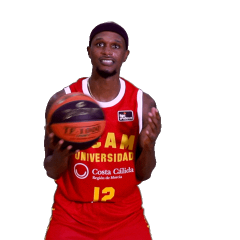 Liga Endesa Basketball Sticker by ACB