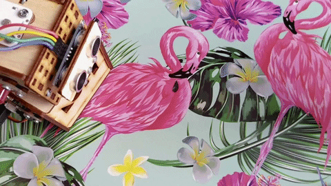 lofirobot giphygifmaker education robot coding GIF