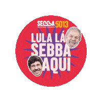 Df Deputado Federal Sticker by Raphael Sebba