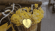 Save Them All I Love You GIF by Best Friends Animal Society