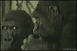 something GIF