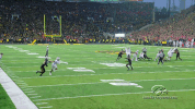 hawks GIF by University of Iowa Hawkeyes Athletics