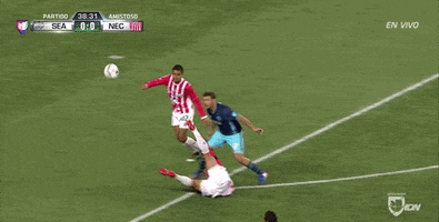 GIF by Seattle Sounders