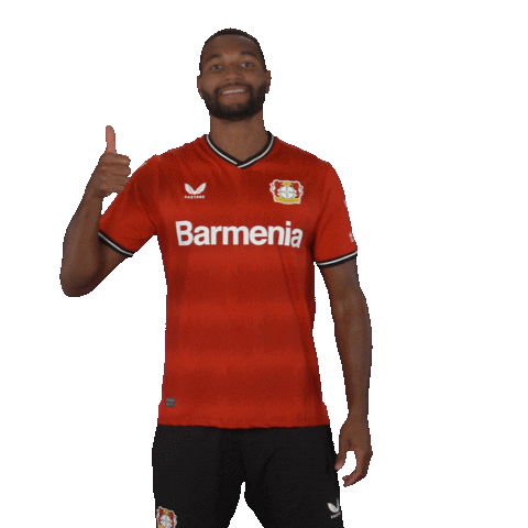 Werkself Love Sticker by Bayer 04 Leverkusen