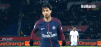 Paris Saint-Germain Psg GIF