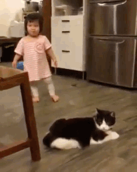 GIF by Demic
