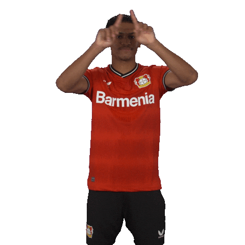 No Clue Football Sticker by Bayer 04 Leverkusen