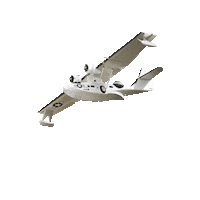 Rih Catalina Sticker by villebiscarrosse