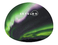 Northern Lights Stars Sticker by SkyGloo