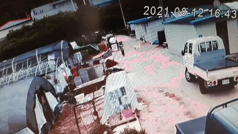 insight_newsroom giphyupload GIF