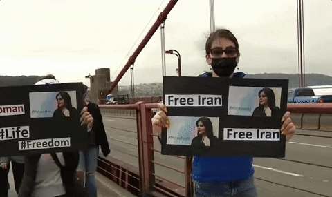 Masih Alinejad Protest GIF by GIPHY News