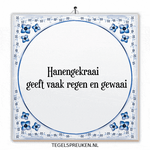 Nl Wijsheid GIF by Tegelspreuken.nl
