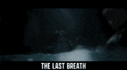 Shark Week Splash GIF by Signature Entertainment