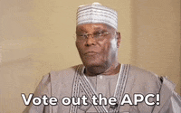 Vote Pdp GIF by GIPHY News