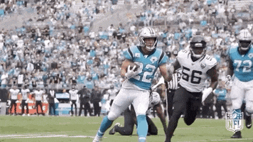 Carolina Panthers Football GIF by NFL