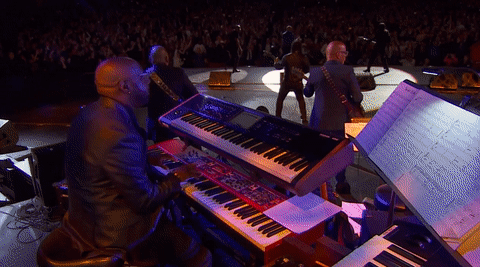 GIF by Tribeca Film Festival