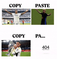 Bellingham Copy Paste GIF