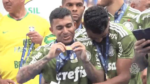 happy feliz GIF by SE Palmeiras