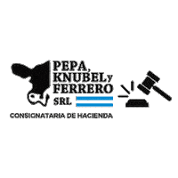 Remate Pkf Sticker by Pepa, Knubel y Ferrero