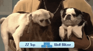 snl season 44 GIF by Saturday Night Live