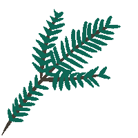 greenbeaver canadian body care natural products face care Sticker