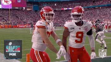National Football League GIF by NFL