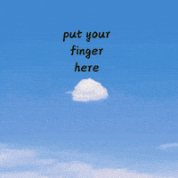 Capybara Hi Friend GIF by Furrend