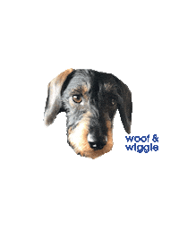 Dogs Dachshund Sticker by woof & wiggle