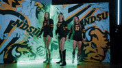 Volleyball Bison GIF by NDSU Athletics