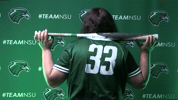 Softball GIF by RiverHawk Sports