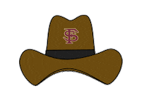 fsu seminoles Sticker by Florida State University