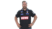 Handball-Bundesliga Handball Sticker by LIQUI MOLY HBL