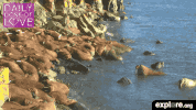 exploreorg love nature animal organic GIF