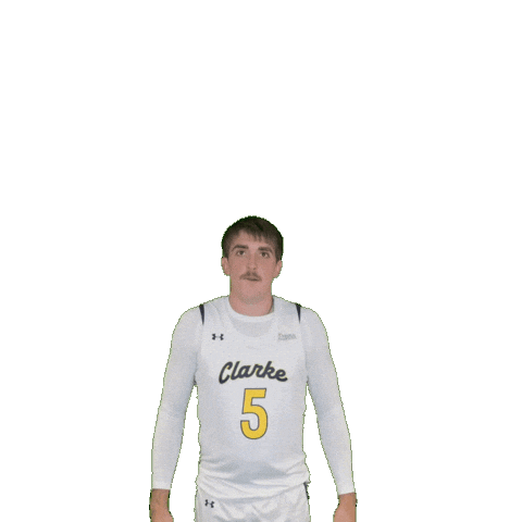 Mens Basketball Sticker by Clarke University