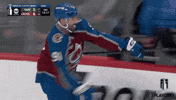 Happy Stanley Cup GIF by NHL