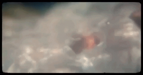 Kids On Molly GIF by Aries