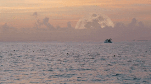 Surprise Monster GIF by Super Simple