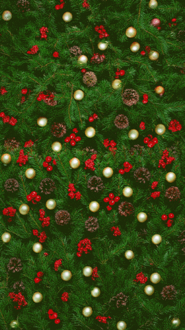 Merry Christmas GIF by Niedersachsen-Ticket