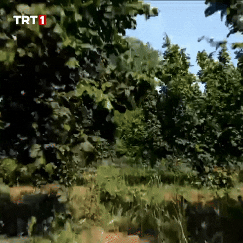 Happy Fresh Air GIF by TRT